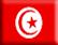 Bandiera Tunisia .gif - Small embossed