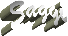  Saggi